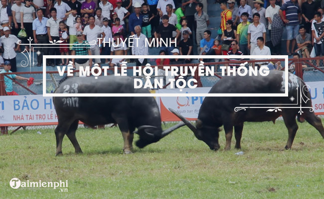 thuyet minh ve le hoi choi trau o do son