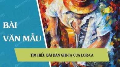 tim hieu bai dan ghi ta cua lor ca 390x220 1