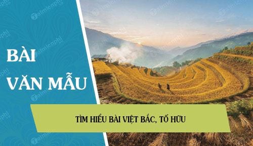 tim hieu bai viet bac to huu