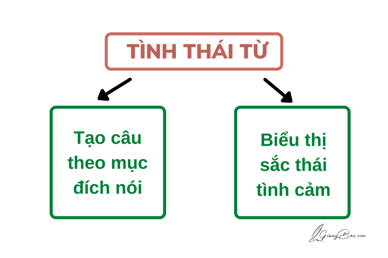 tinh-thai-tu