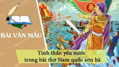 tinh than yeu nuoc trong bai tho nam quoc son ha