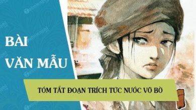 tom tat doan trich tuc nuoc vo bo 390x220 1