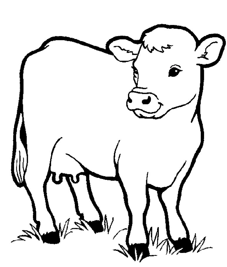 Vẽ con bò sữa đơn giản dễ thươngHow to Draw a Cute Cow EasyTHƯ VẼ   YouTube