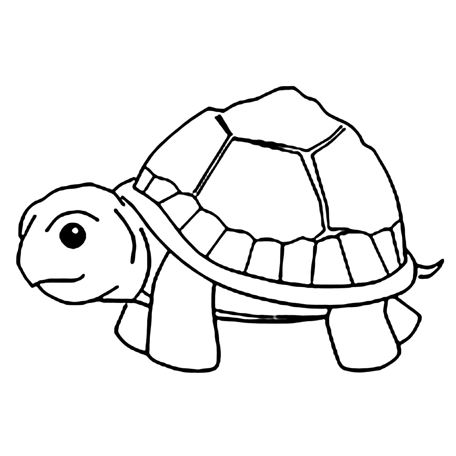 Tìm hiểu với hơn 105 hình con rùa mới nhất thtantai2eduvn