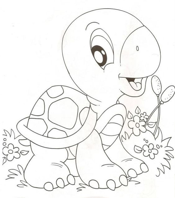 Tổng hợp các bức tranh tô màu con rùa cho bé