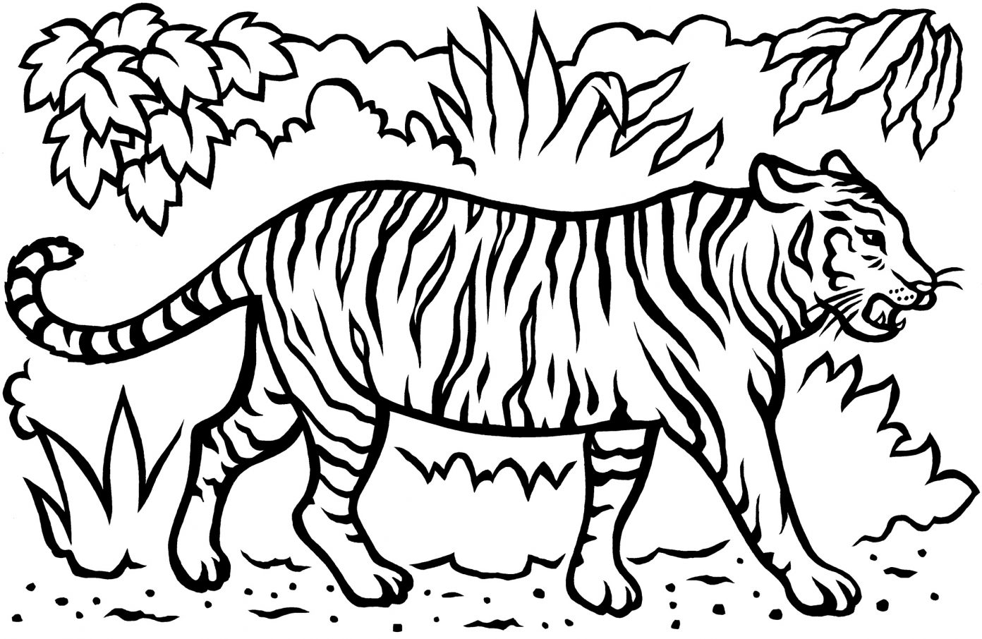 Tổng hợp với hơn 65 về con hổ tô màu mới nhất  trieuson5