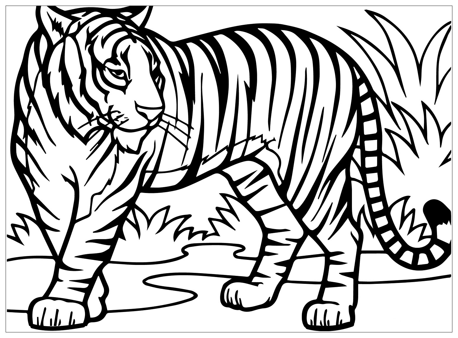 Cập nhật 58 về tranh tô màu con hổ  cdgdbentreeduvn
