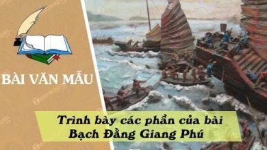 trinh bay cac phan cua bai bach dang giang phu 390x220 1