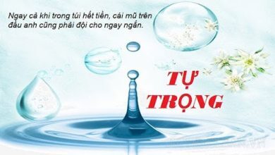 tu trong la gi 390x220 1