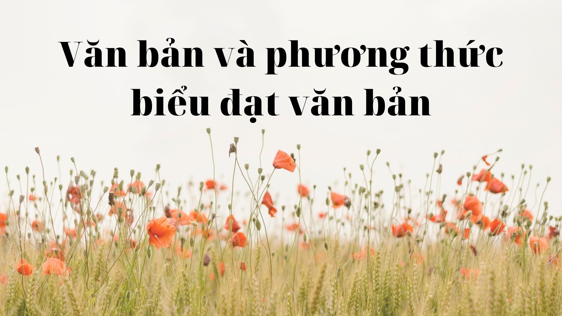 Văn bản và phương thức biểu đạt văn bản