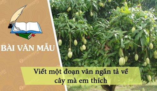 viet mot doan van ngan ta ve cay ma em thich