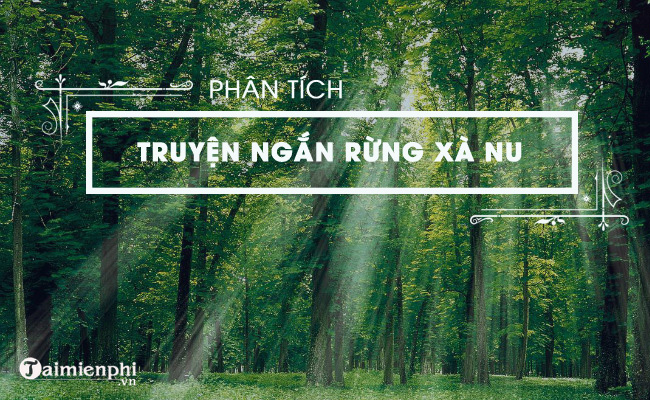 phan tich rung xa nu cua nguyen trung thanh