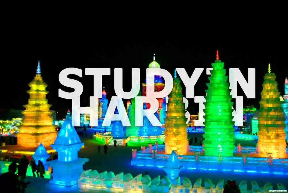 Study in Harbin min.jpg.webp