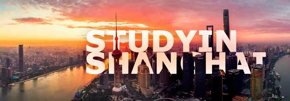 Study in Shanghai min.jpg.webp