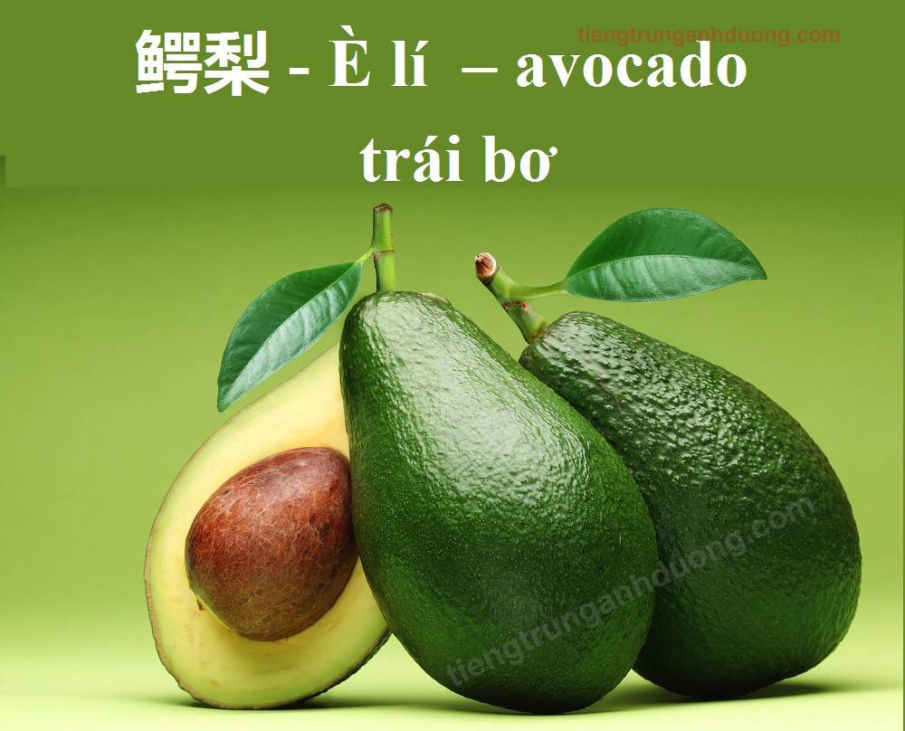 avocado qua20bo