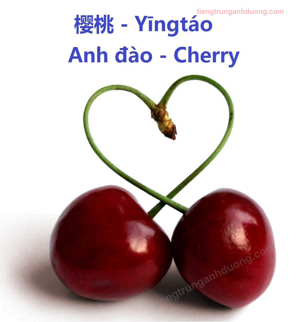 cherry anh20dao