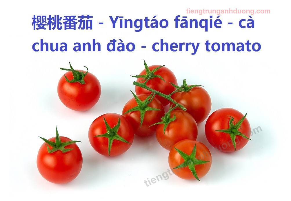 cherry tomato ca20chua20anh20dao