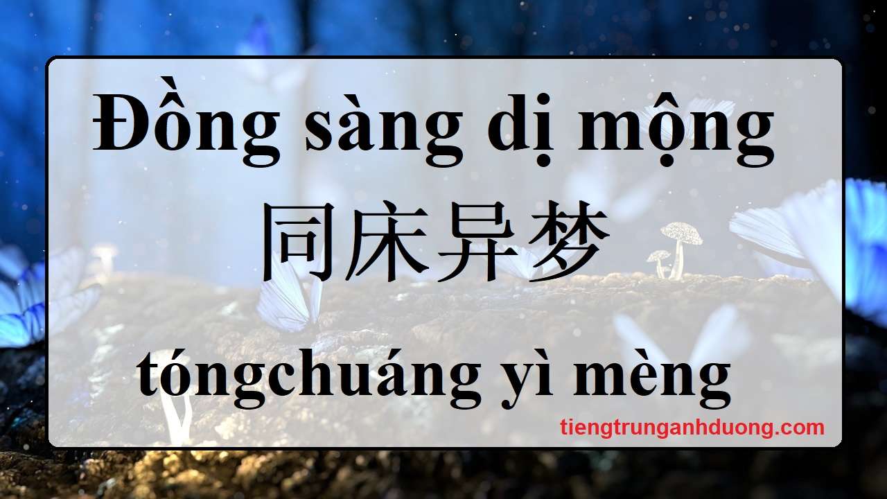 đồng sàng dị mộng