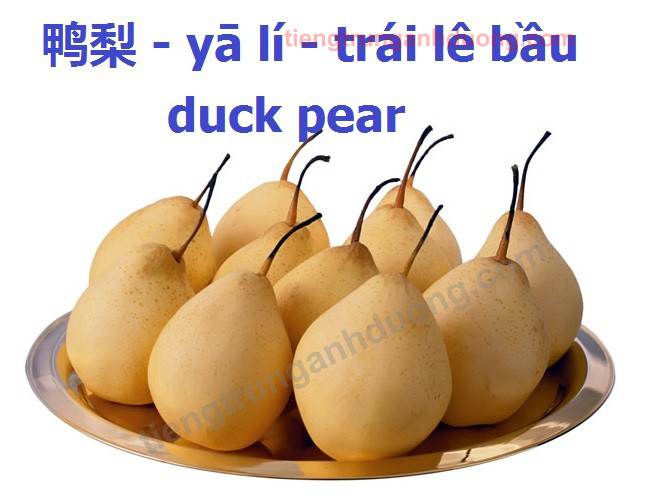 duck pear le20bau