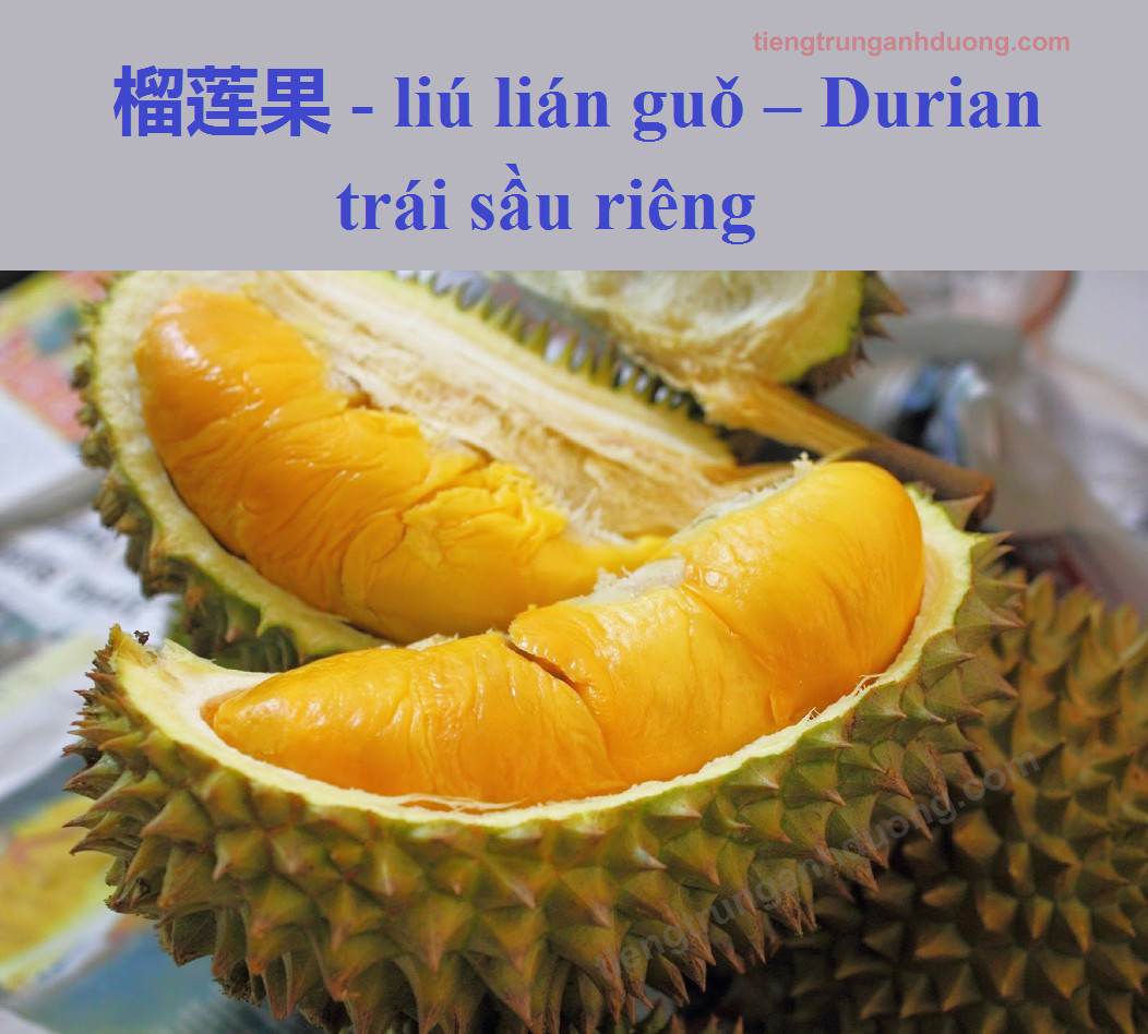 durian sau20rieng