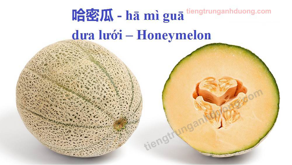 honeymelon dua20luoi