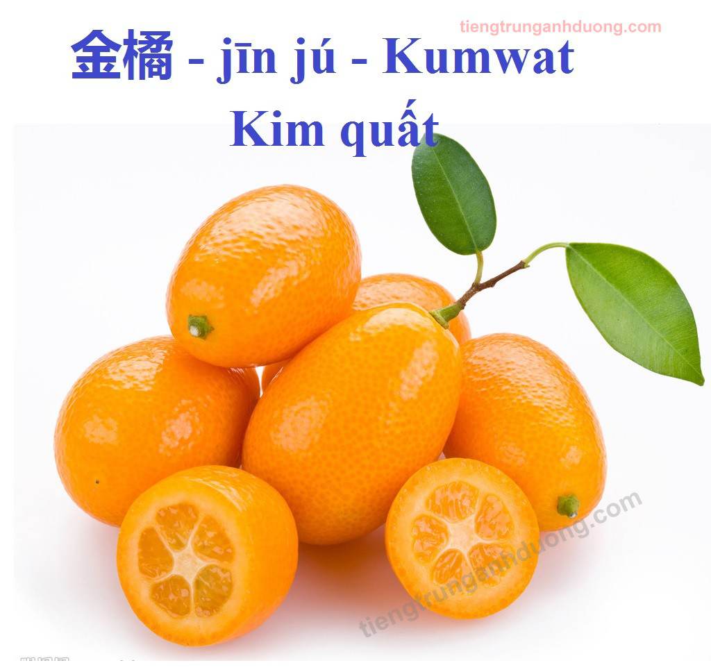 kumwat kim20quat