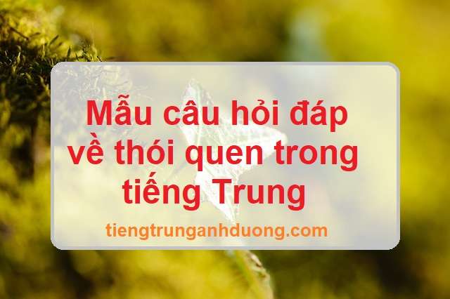 mẫu câu thói quen trong tiếng Trung