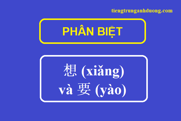cách sử dụng và phân biệt 想 và 要 (xiǎng và yào)