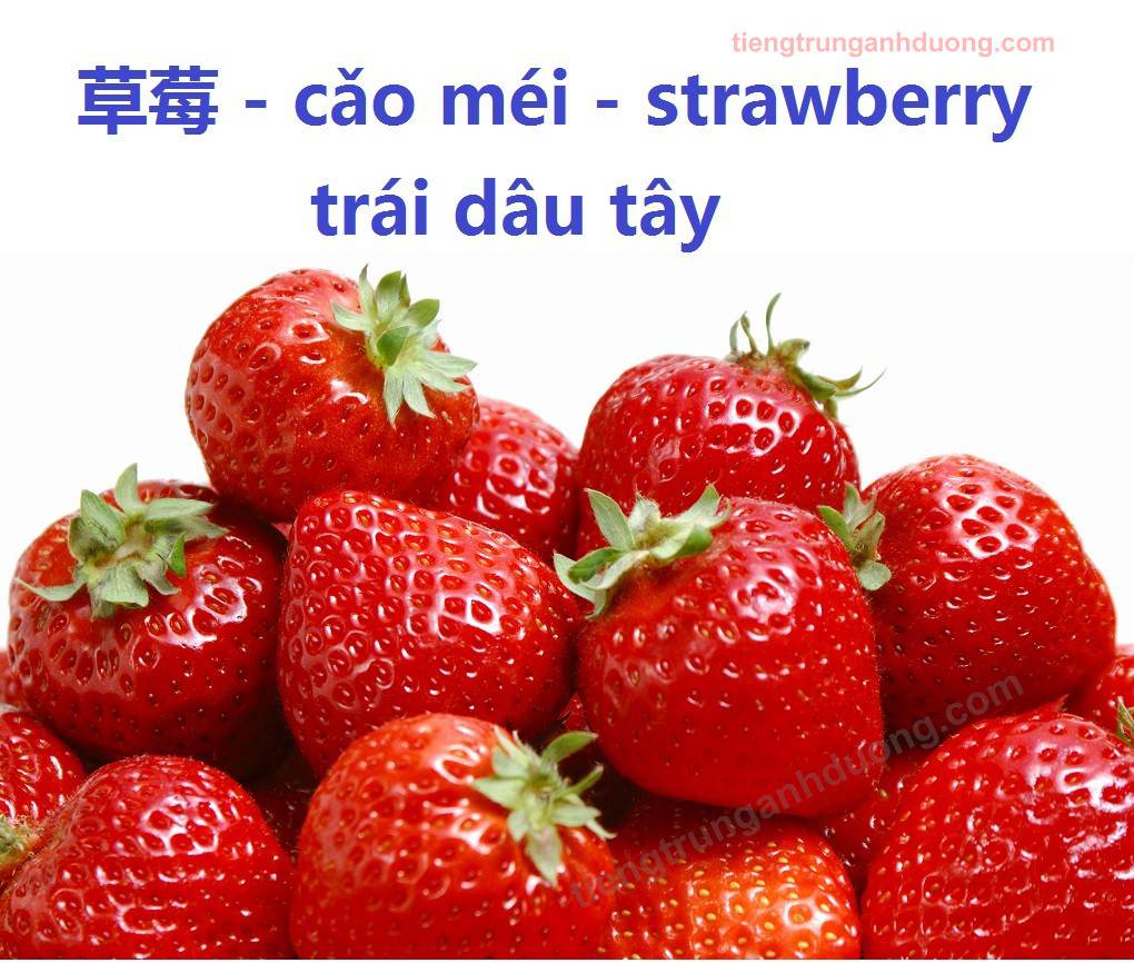 strawberry dau20tay