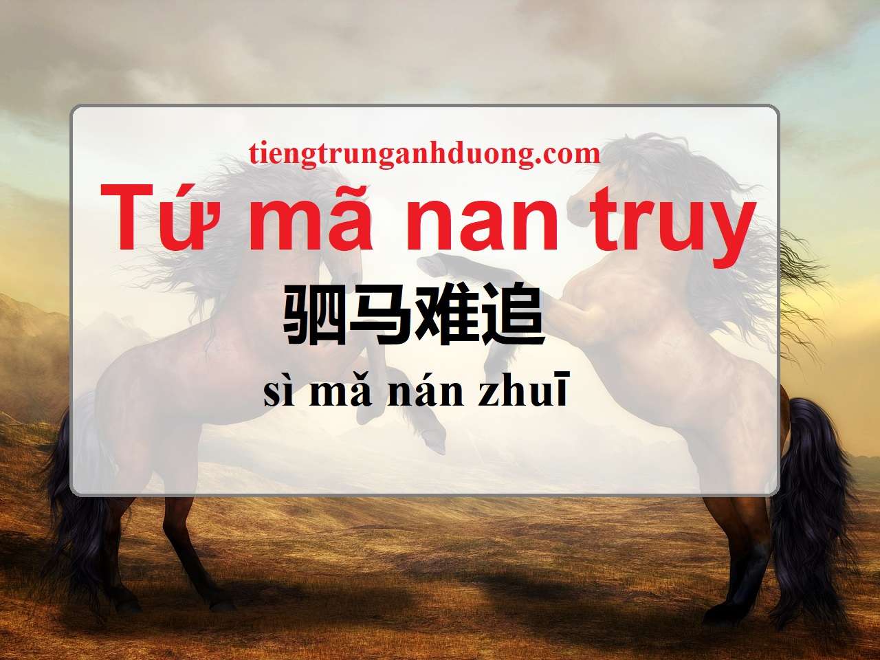 tứ mã nan truy