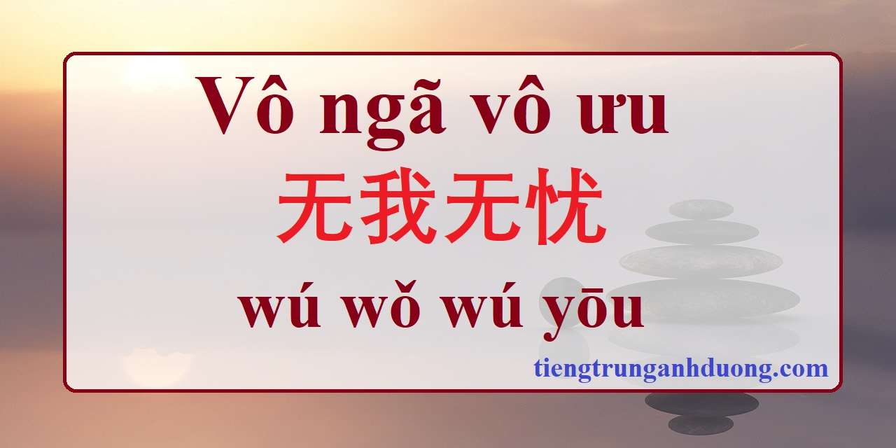 vô ngã vu ưu